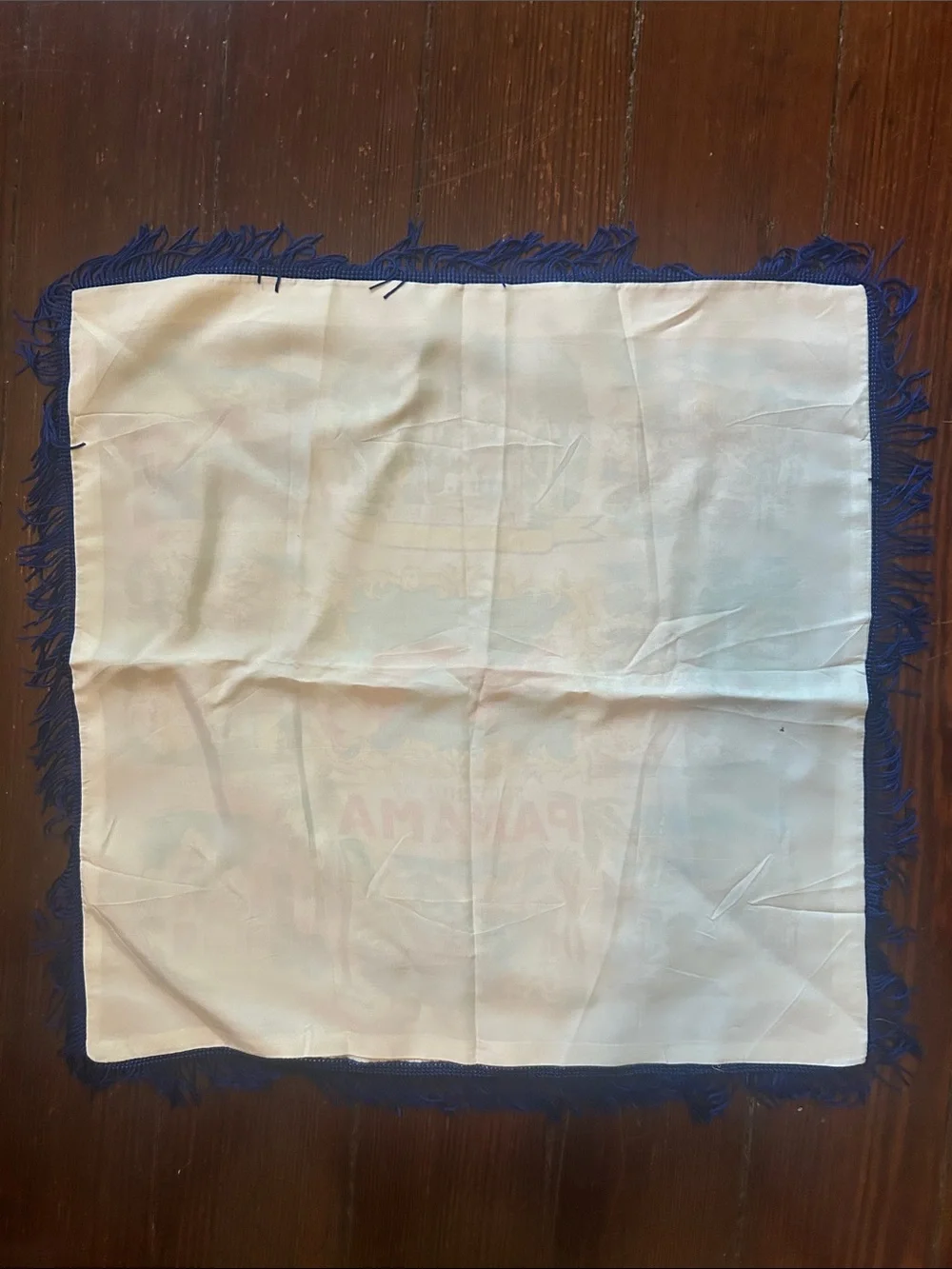 Vintage Souvenir Panama Scenic Fringe Silky Scarf in Cream & Blue